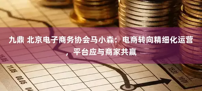 九鼎 北京电子商务协会马小森：电商转向精细化运营，平台应与商家共赢